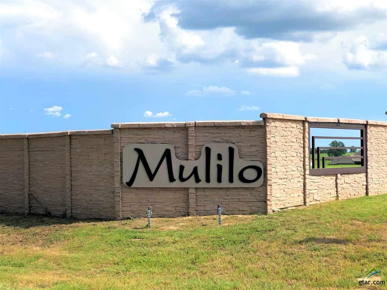 Property Photo:  394 Zebra Way  TX 75757 