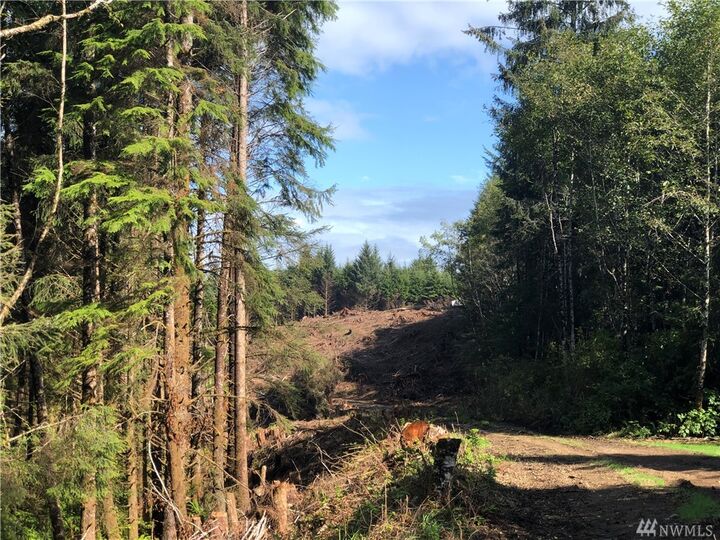 Property Photo:  0 Xxx- Roosevelt Beach  WA 98571 