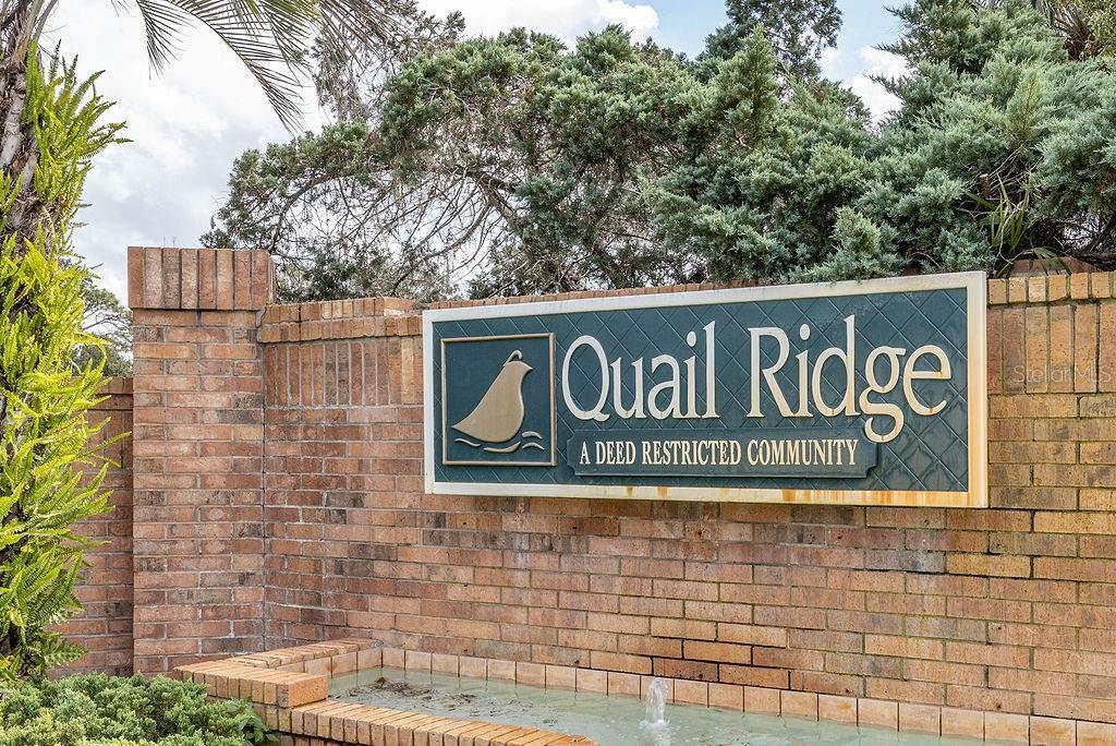 Property Photo: 12411 Quail Ridge Drive FL 34610