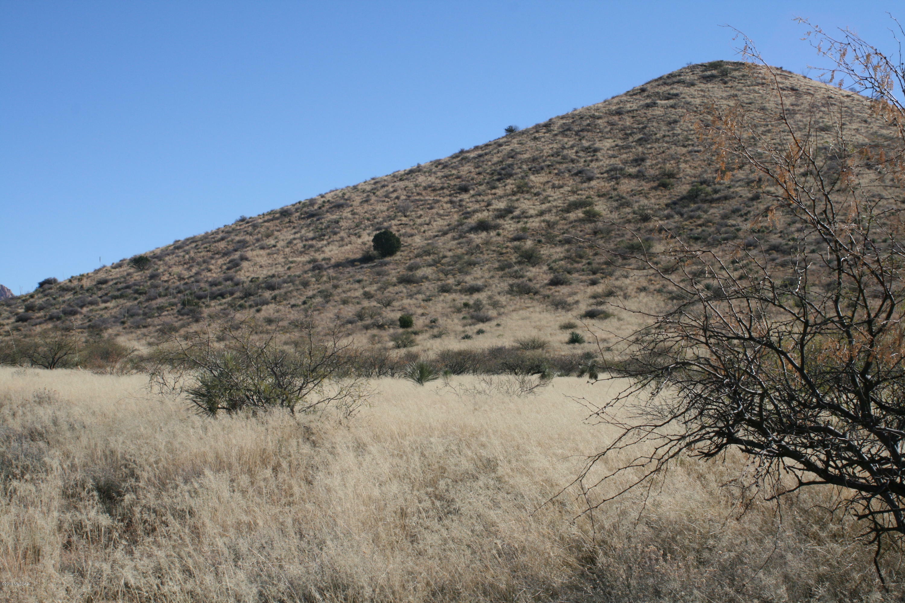 Property Photo:  Lot 81 E Badger Trail 81  AZ 85630 