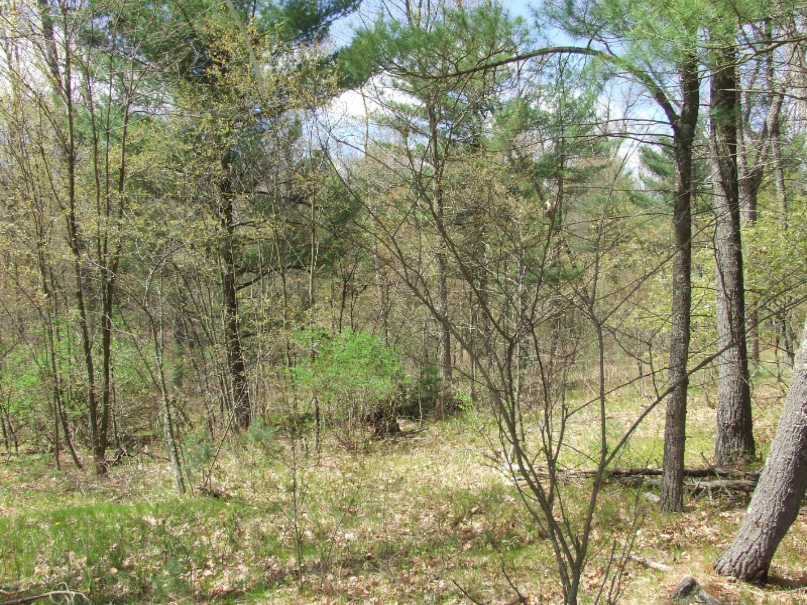 Property Photo: 0 Ewing Road MI 49457