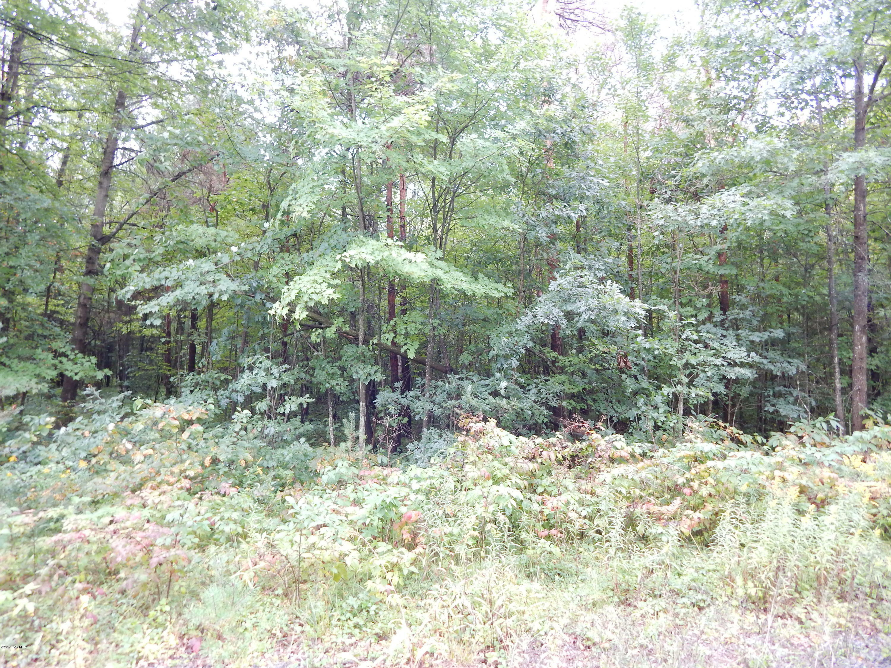 Property Photo:  Lot F Ruthie Lane  MI 49415 