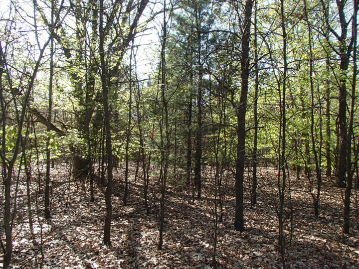 1588 N Green Creek Road  Muskegon MI 49445 photo