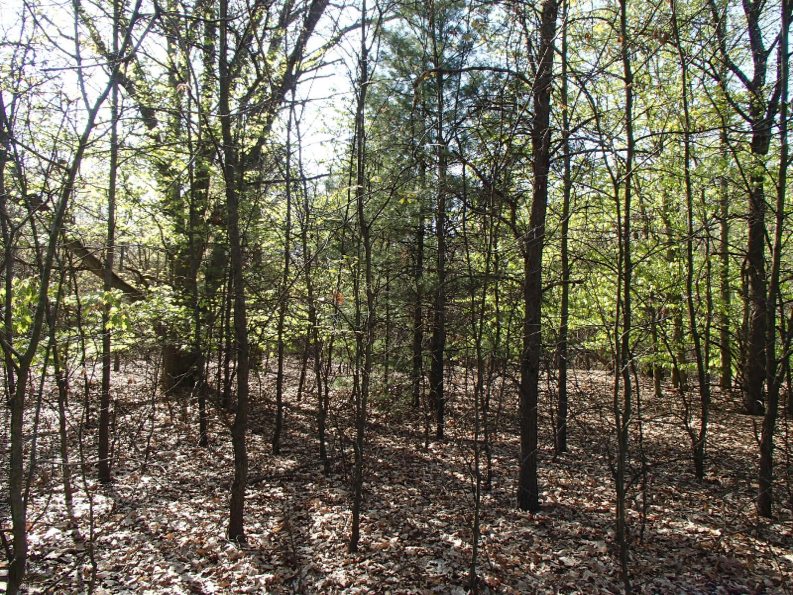 Property Photo:  1588 N Green Creek Road  MI 49445 