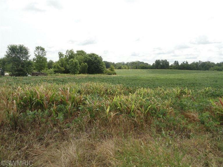 Property Photo:  Allegan Road  MI 49096 