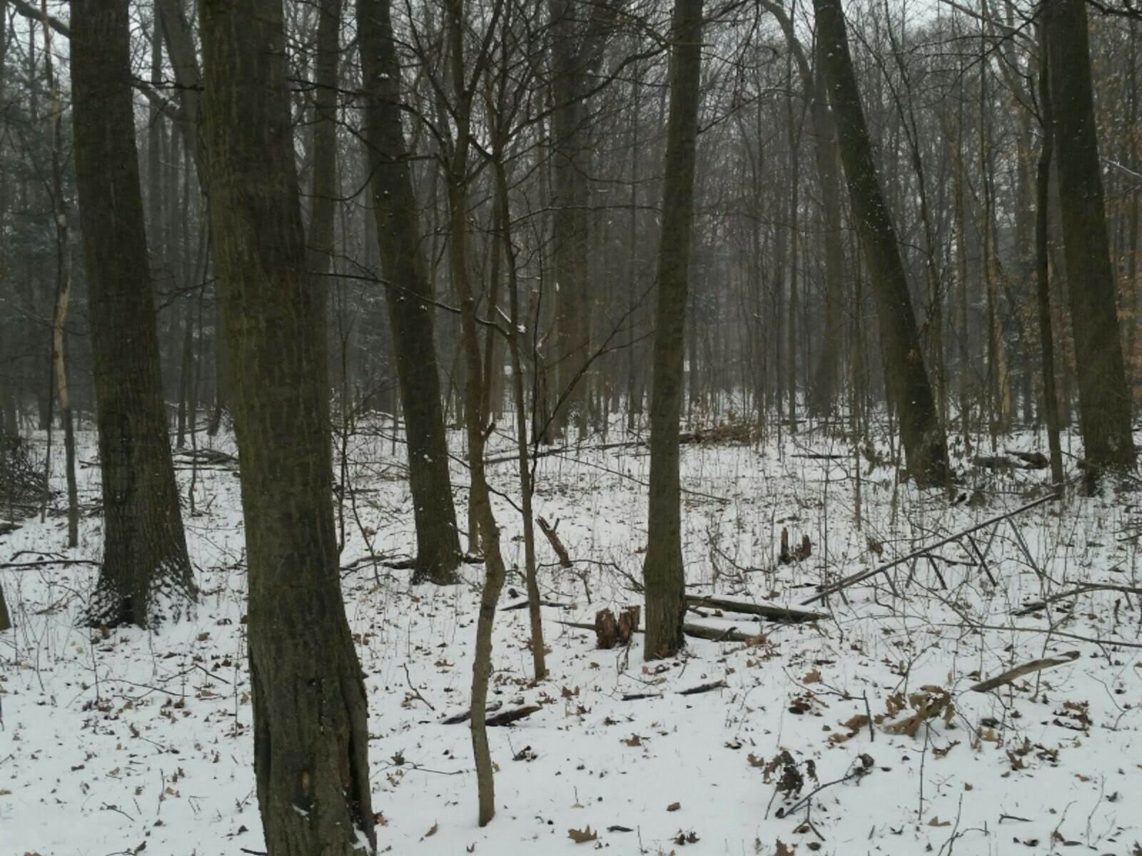 Property Photo: 0 Chicago Avenue MI 49424