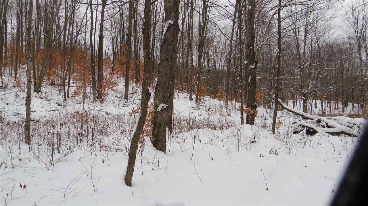 Property Photo: Tbd Springbrook MI 49713