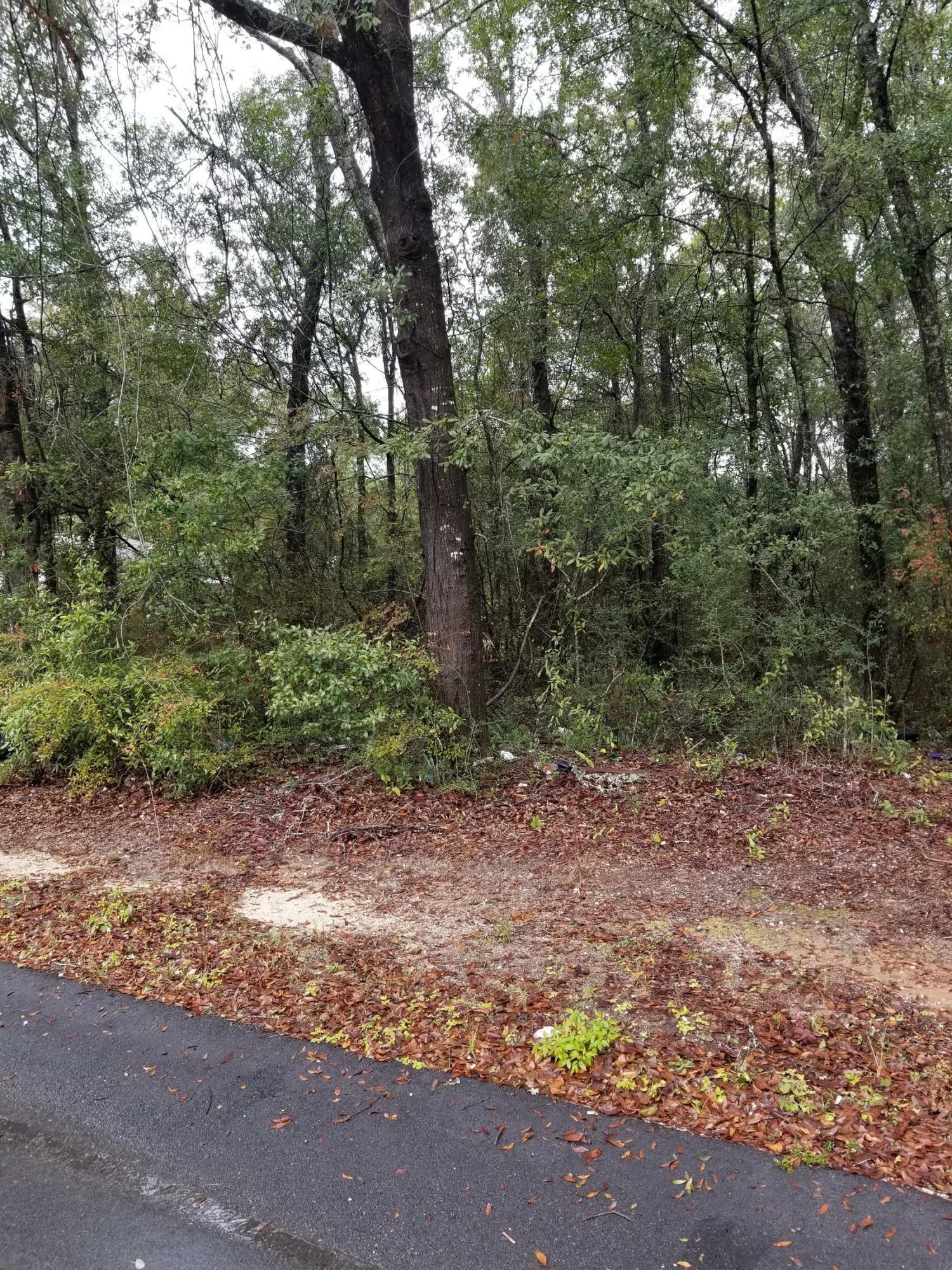 Property Photo:  Tbd Grimes Avenue  FL 32536 