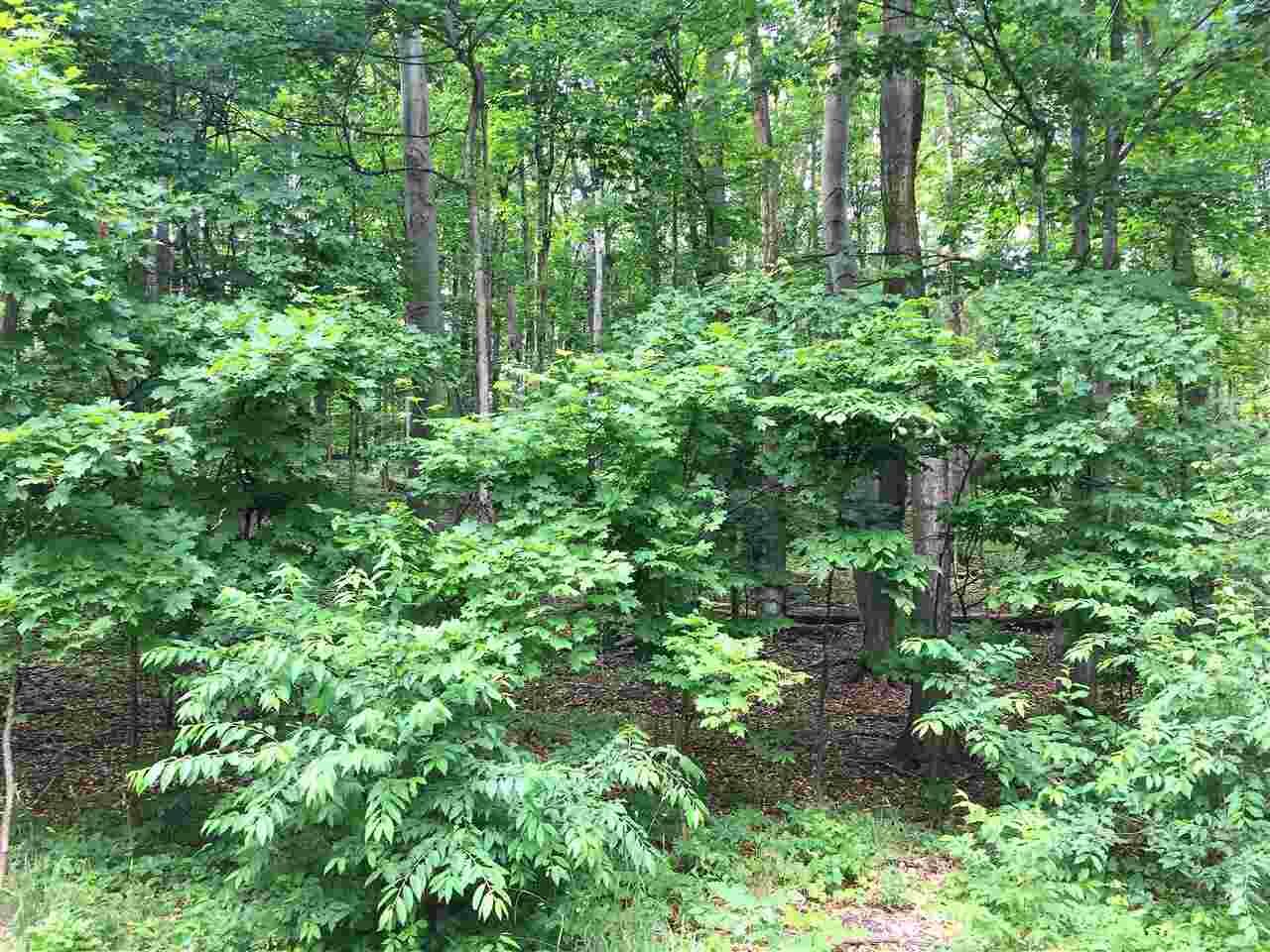 Property Photo:  4820 Turfway Lot #534  MI 49740 