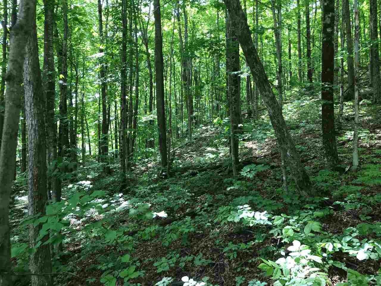 Property Photo:  0000 E. Old State  MI 49727 