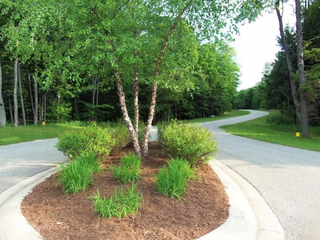 Property Photo:  8347 Pleasantview Woods Lot 25  MI 49740 