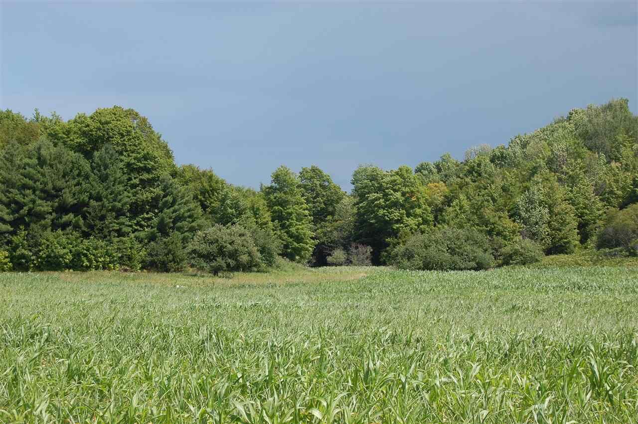 Property Photo: Tbd N Pleasantview MI 49755