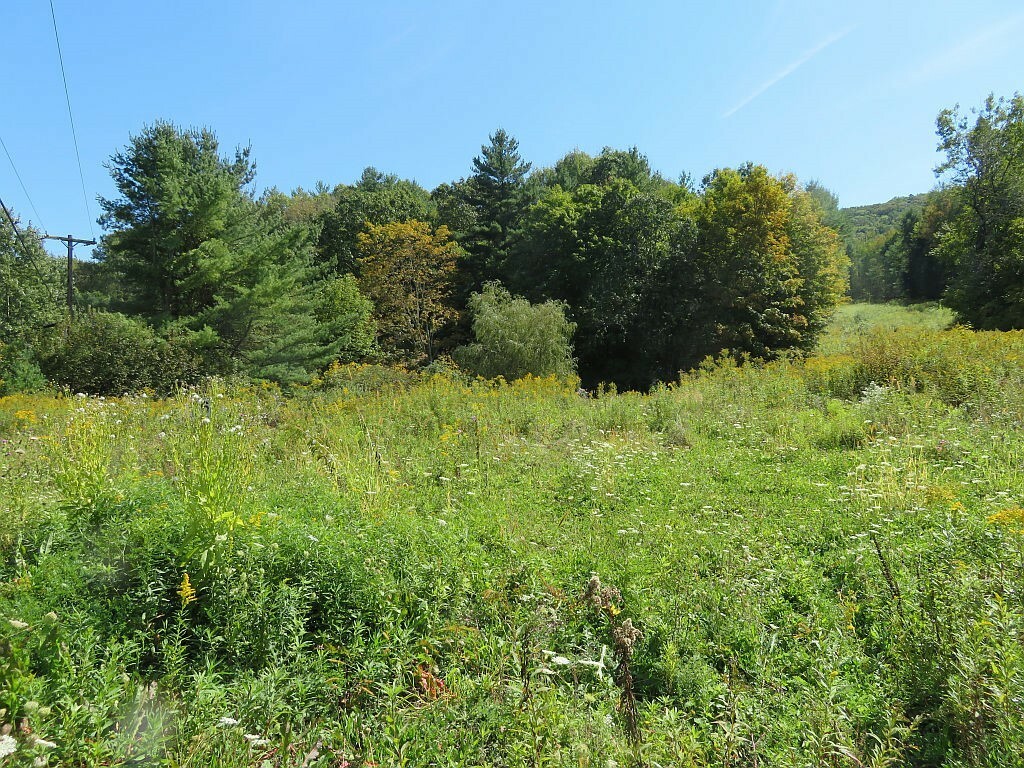 Property Photo:  1395 Day Hollow Road  NY 13760 