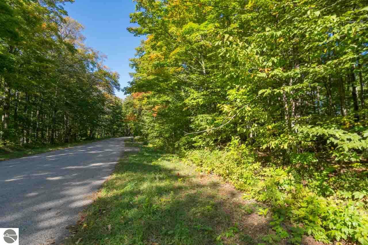 Property Photo:  Lot 3 S Fairway Drive  MI 49621 