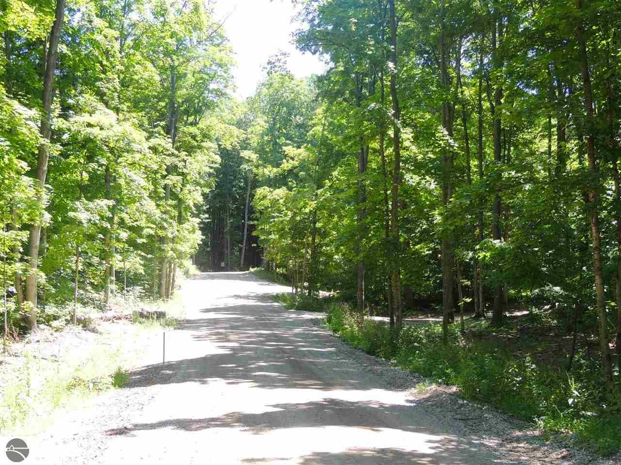 Property Photo: Lot 'C' Fowler Road MI 49650