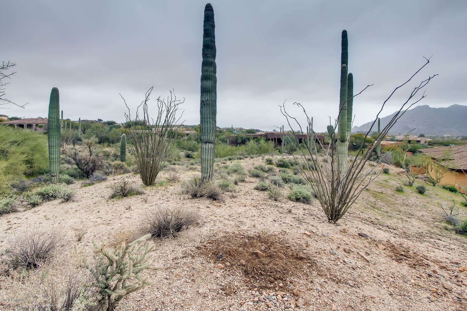 Property Photo:  38788 N Rising Sun Road  AZ 85377 