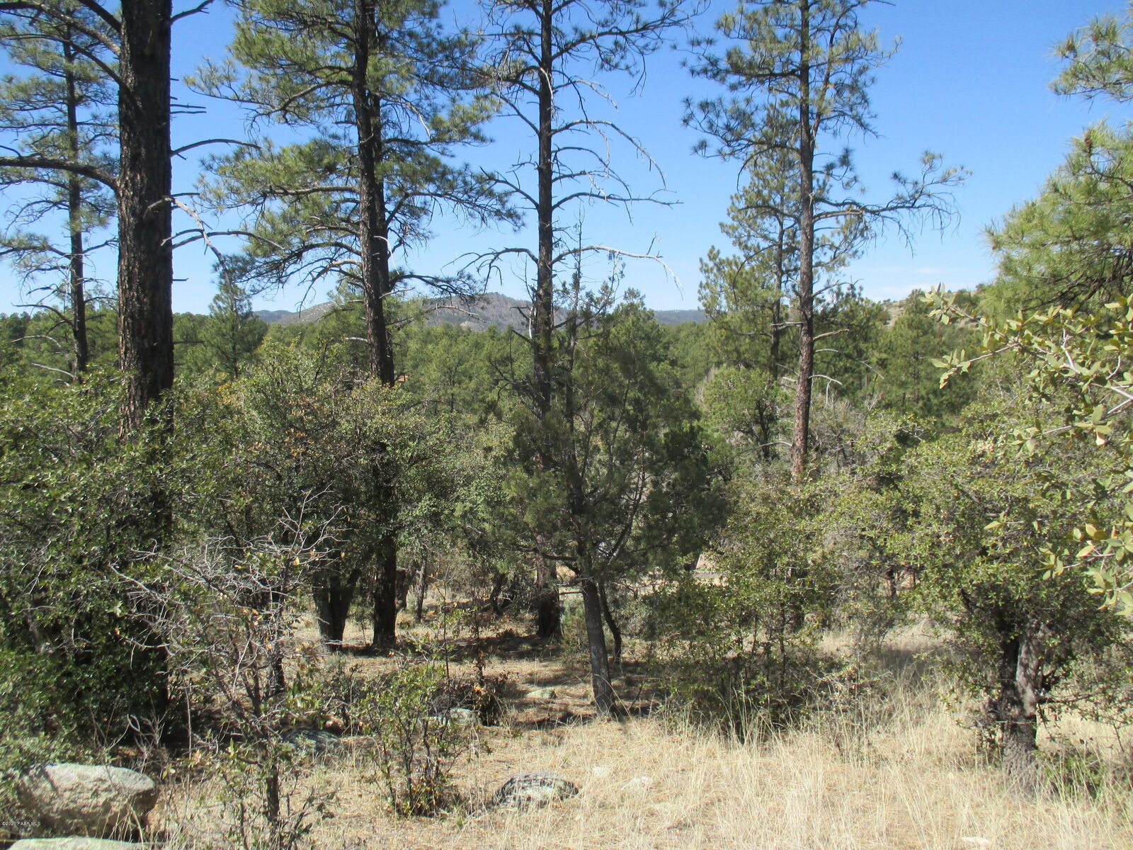 Property Photo:  115 Laurel Court  AZ 86303 