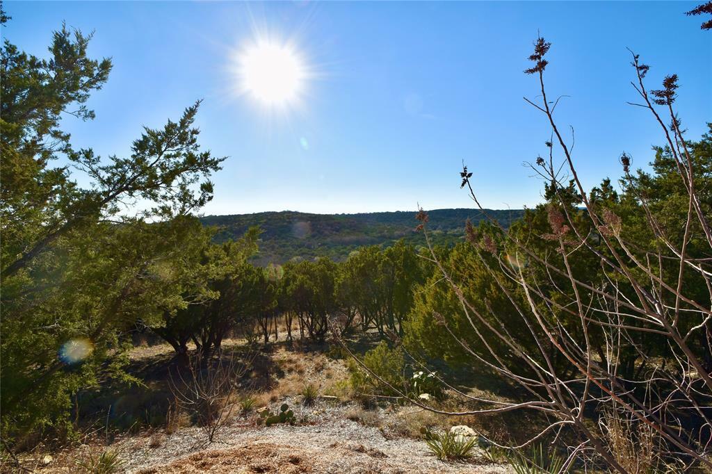 Property Photo:  Tbd Bluff View Court  TX 76433 