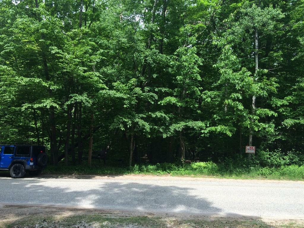 Property Photo:  Douglas Lake Road Lots 100 & 101  MI 49769 