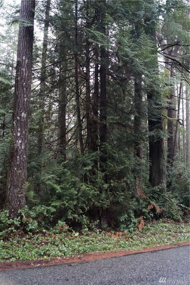 Property Photo: 15 SE Arcadia Shores Rd WA 98584