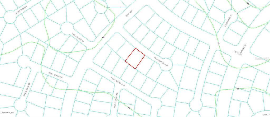Property Photo: 0 Pine Course Way FL 34472