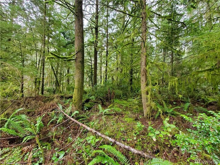 Property Photo:  17007 Highway 3  WA 98524 