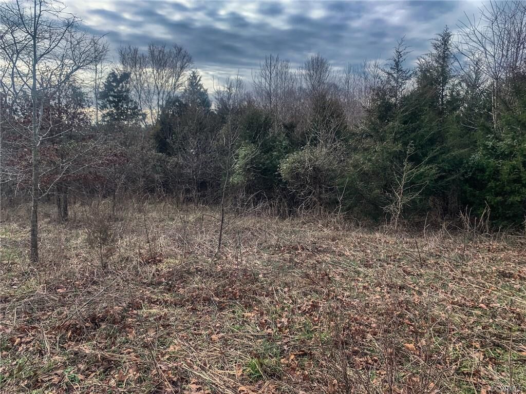 Property Photo:  00000 Petersburg Road  VA 23139 