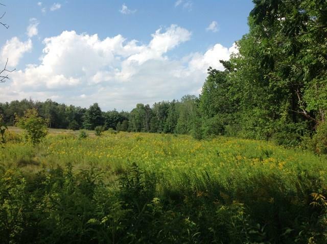 Property Photo:  0 Barker Road  NY 12972 