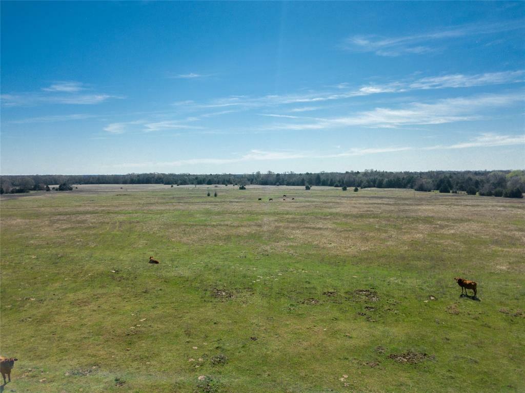 Property Photo:  1571 County Road 4129  TX 75433 