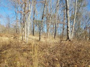 Property Photo:  Lake Overlook  TN 37854 