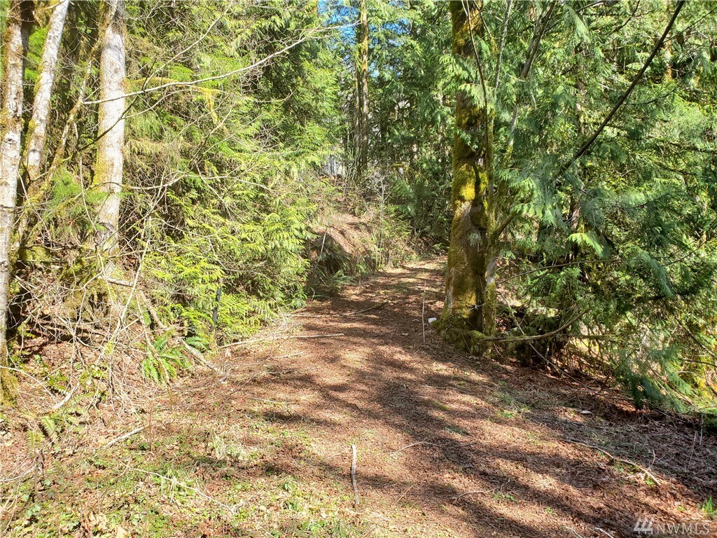 Property Photo:  761 N Duckabush Dr N  WA 98548 