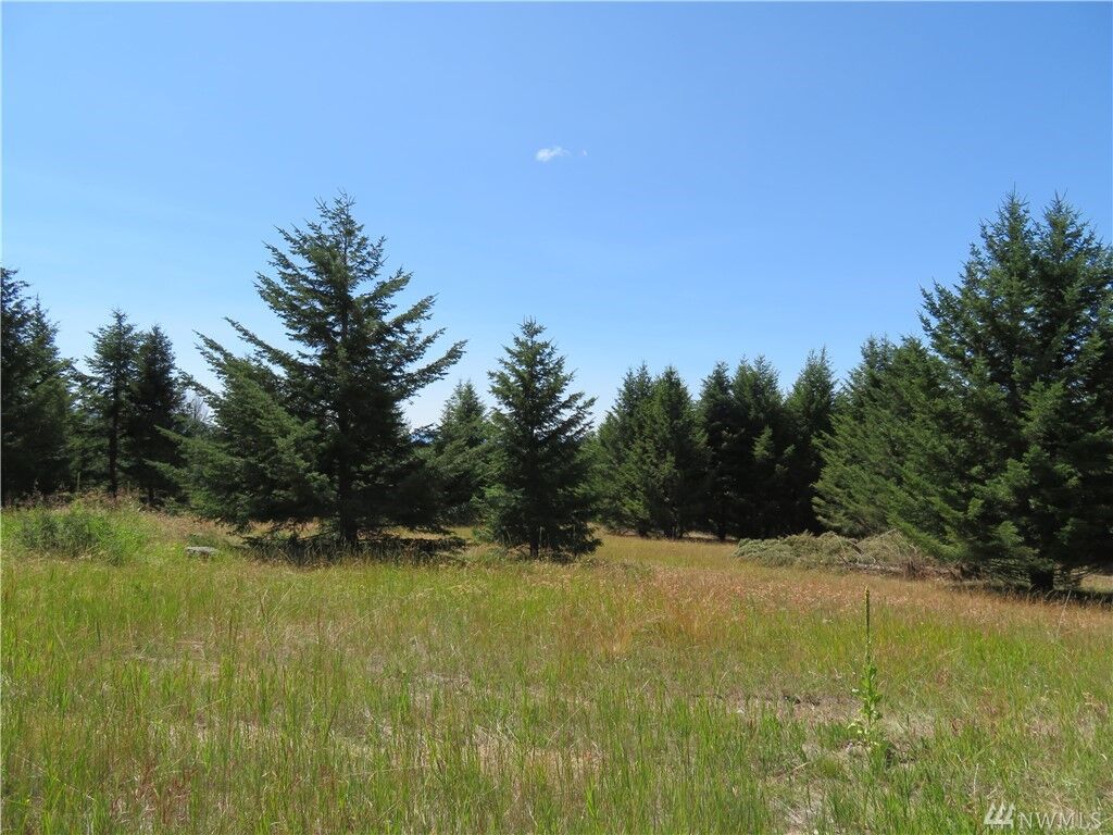 Property Photo:  Lot 7 Bonaparte Run Rd  WA 98859 
