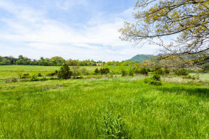 Property Photo:  Zachary Rd  TN 37709 