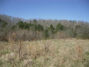 Property Photo:  5966 State Highway 68  TN 37880 