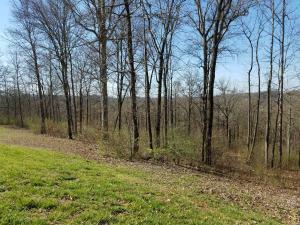 Property Photo:  3330 Preserve Pointe  TN 37777 