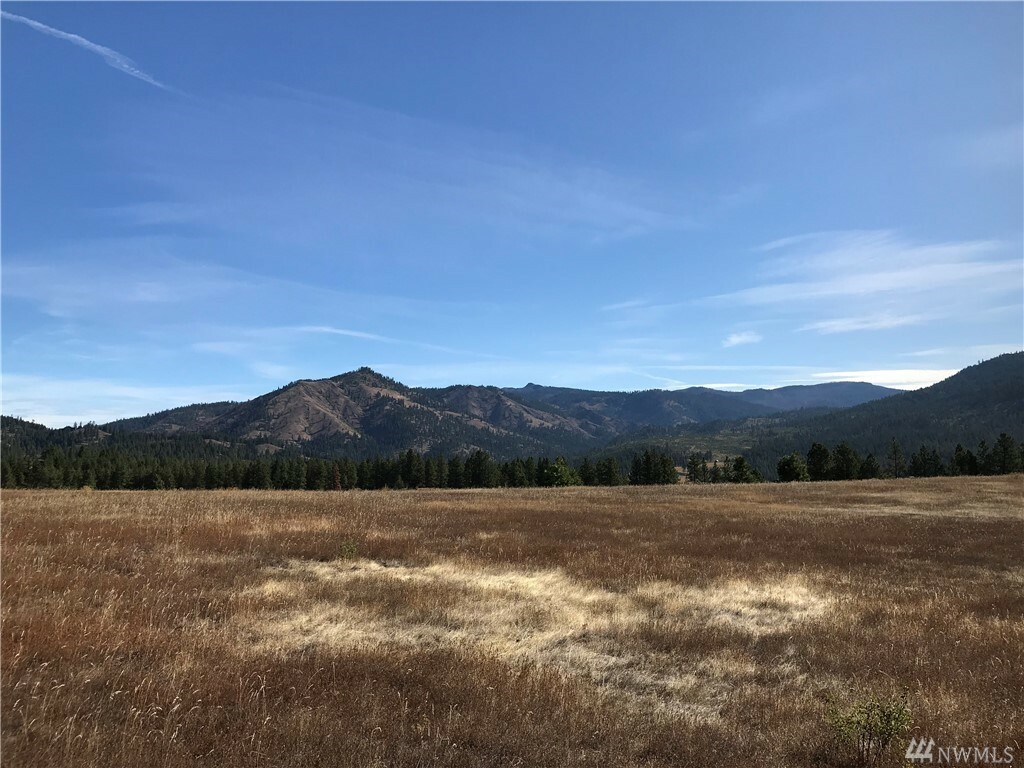 Property Photo:  Xxx Mountain Creek Dr  WA 98922 