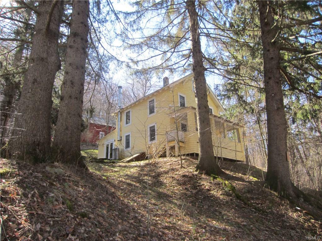 Property Photo:  180 County Road 93  NY 12736 