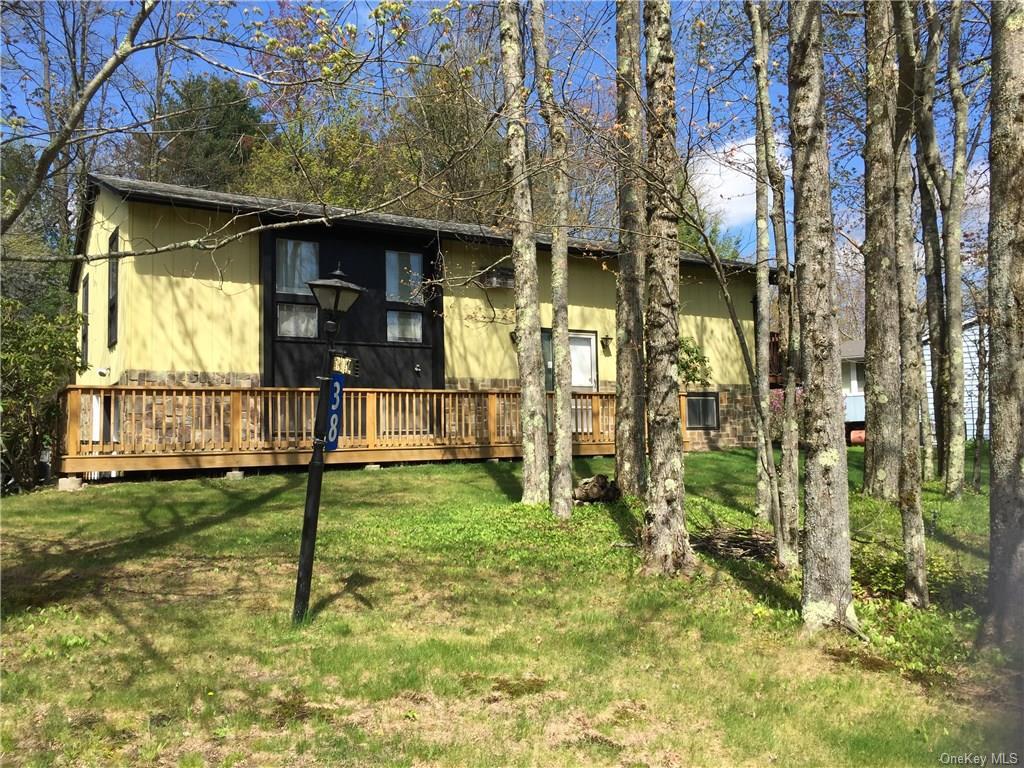 38 Lakeview Drive  Kiamesha Lake NY 12751 photo
