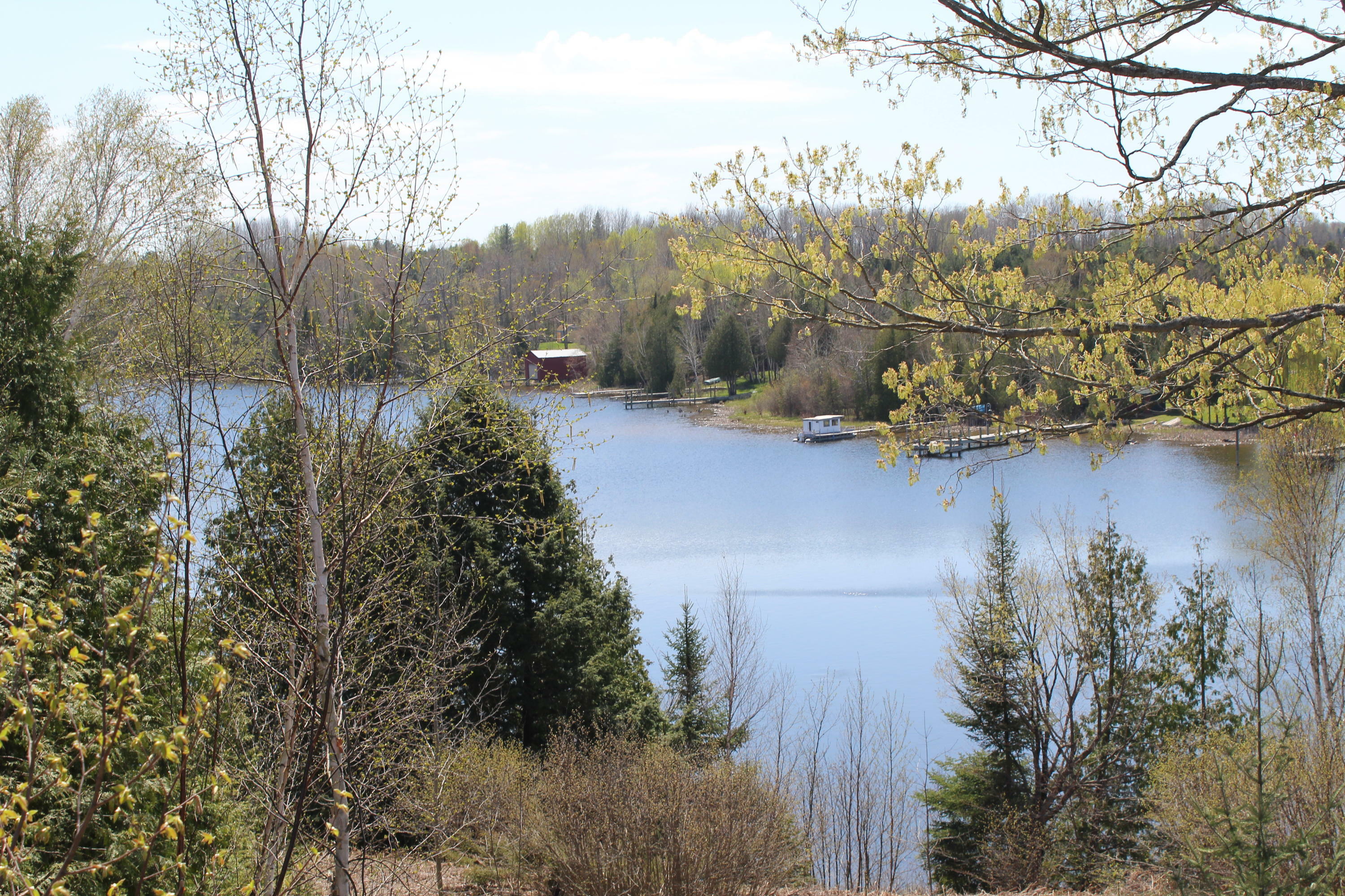 Property Photo:  Swan Pointe Drive Parcel C  MI 49721 