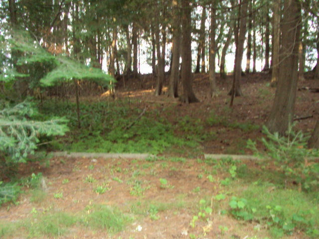 Property Photo:  1111 Corbat Road Lot 9  MI 49765 