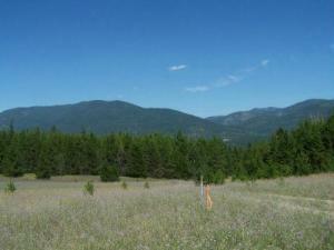 Property Photo:  Lot 8 Greenhouse Rd  WA 99139 