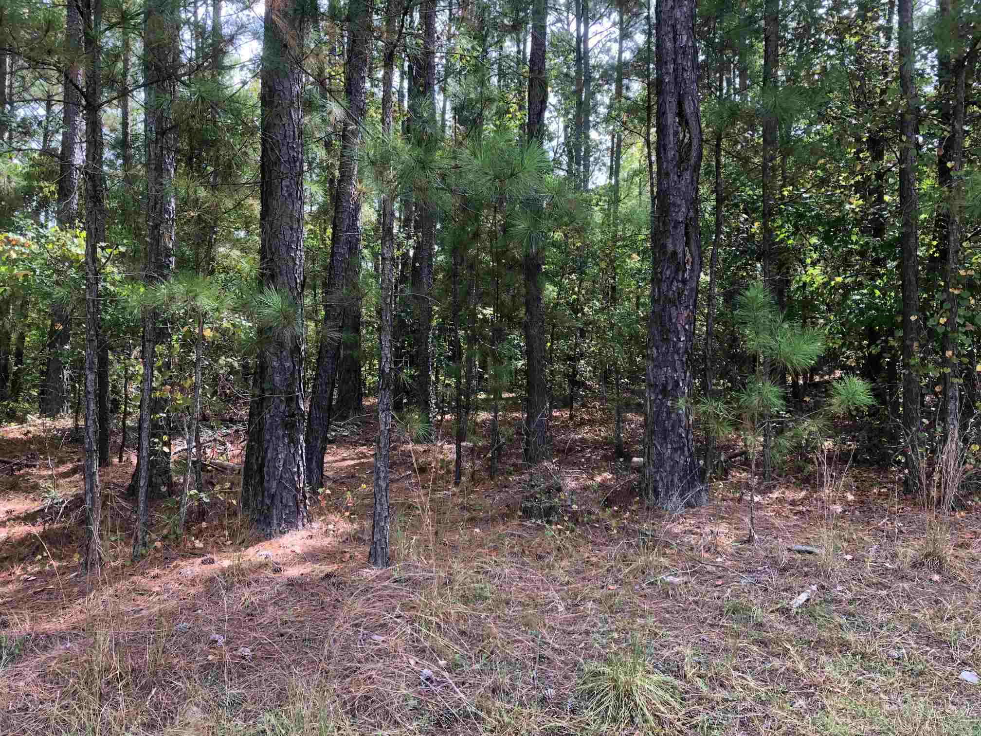 Property Photo: 1081 Shadow Creek Way GA 30642