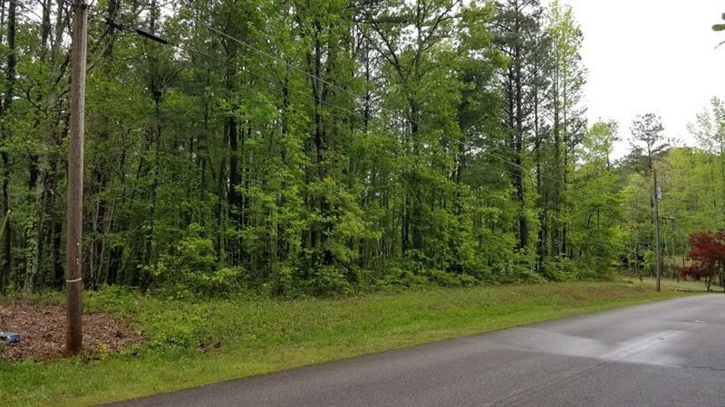 Property Photo: 0 Hale Mountain Court 30141