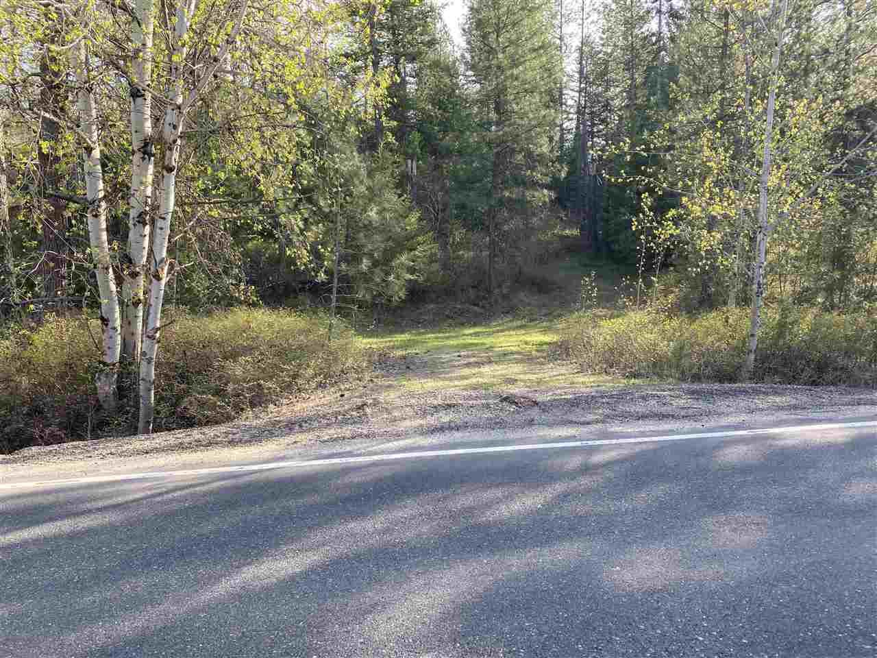 Property Photo:  2208 E Eloika Lake Rd  WA 99006-9141 