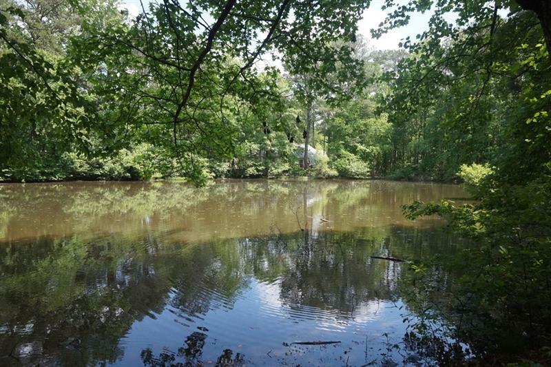 Property Photo: 3334 SE Salem East Drive GA 30013