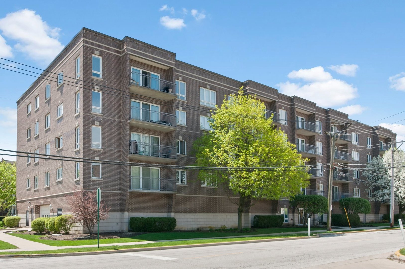 1477 East Thacker Street 205  Des Plaines IL 60016 photo