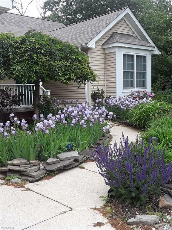 Property Photo: 294 Richmond Road OH 44143