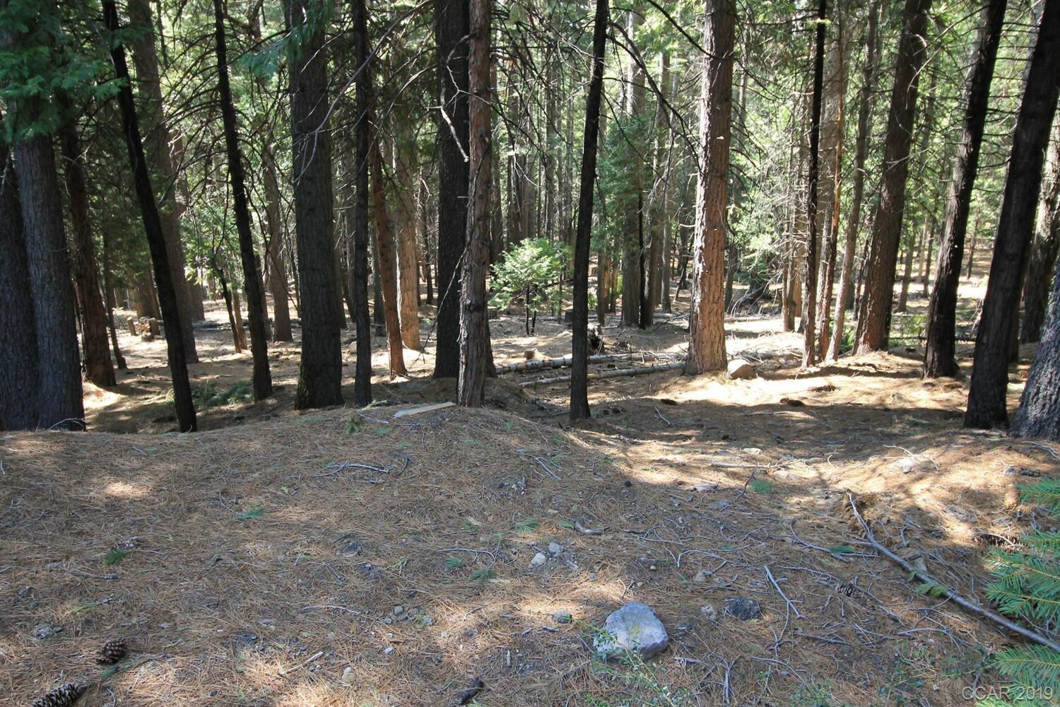 Property Photo:  4890 Meko Drive  CA 95223 