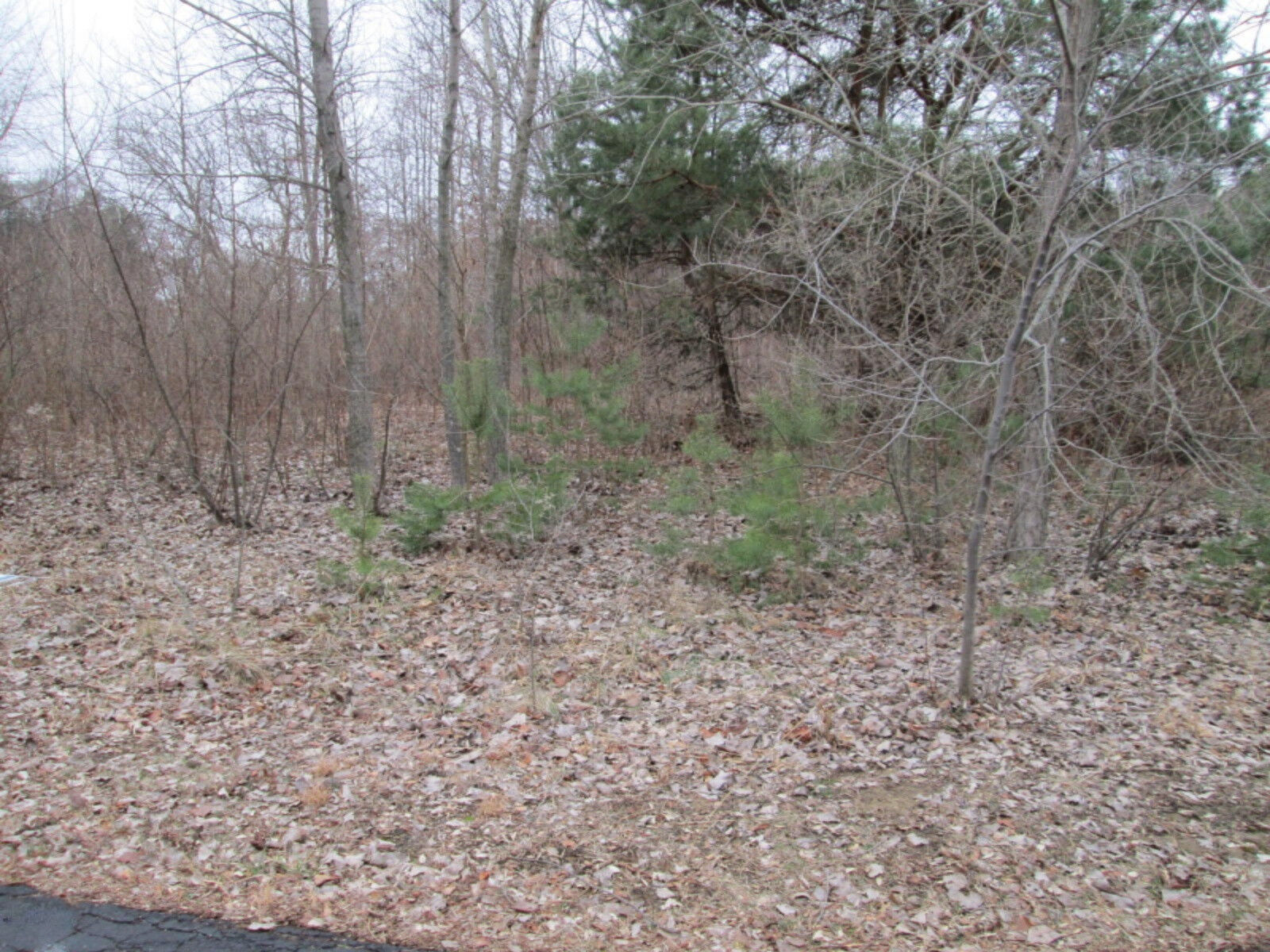Property Photo: 9856 Quail Run MI 49106