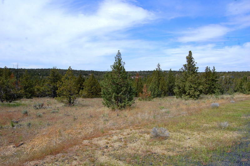 Property Photo:  Lot 39 SE Texas Circle  OR 97754 